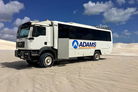 Pinnacles Desert, Koalas And Sandboarding 4WD Day Tour From Perth - Attractions Perth 2