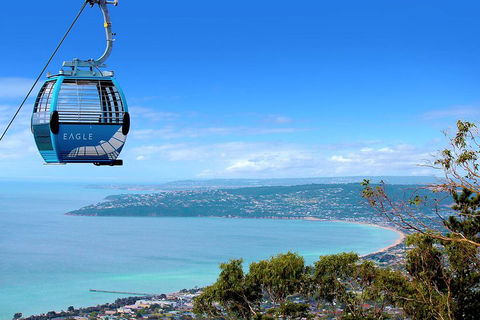 Peninsula Hot Springs Tour With Restaurant Lunch & Gondola Ride - Attractions Perth 1