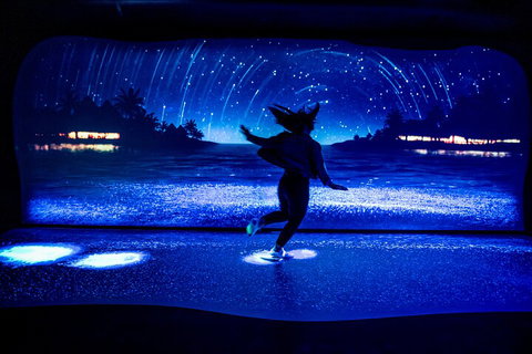 SEA LIFE Sydney Aquarium Entrance Ticket - Attractions Perth 3