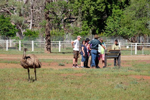 Yura Udnyu - Our Culture, Your Culture (Aboriginal Cultural Walk) - Attractions Perth 1