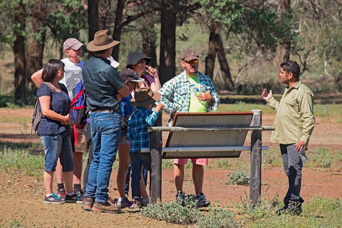 Yura Udnyu - Our Culture, Your Culture (Aboriginal Cultural Walk) - Attractions Perth 2