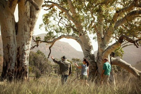 Yura Udnyu - Our Culture, Your Culture (Aboriginal Cultural Walk) - Attractions Perth 5