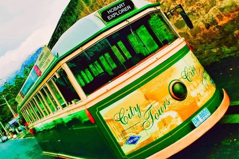 Hobart Half-Day Sightseeing Coach Tram Tour - Attractions Perth 5