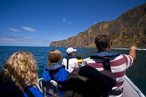 Seal Island Boat Tour From Victor Harbor - Attractions Perth 0