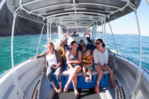 Seal Island Boat Tour From Victor Harbor - Attractions Perth 1