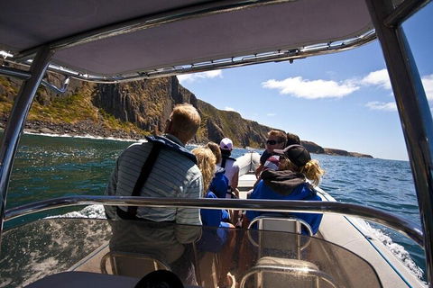 Seal Island Boat Tour From Victor Harbor - Attractions Perth 2