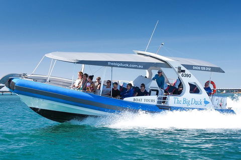 Seal Island Boat Tour From Victor Harbor - Attractions Perth 3