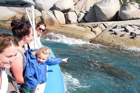 Seal Island Boat Tour From Victor Harbor - Attractions Perth 4