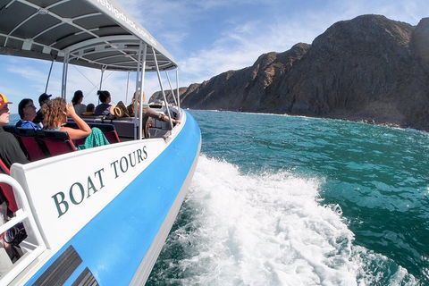 Southern Ocean Adventure From Victor Harbor - Attractions Perth 0