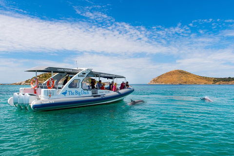 Southern Ocean Adventure From Victor Harbor - Attractions Perth 1