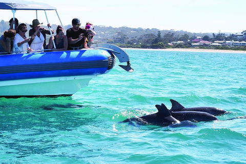 Southern Ocean Adventure From Victor Harbor - Attractions Perth 2