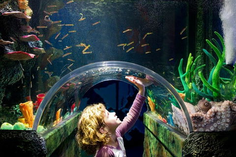 Melbourne BIG Ticket - LEGOLAND Discovery And SEA LIFE Melbourne - Attractions Perth 2