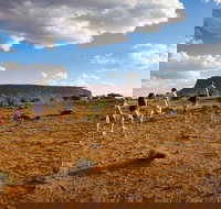 Mount Conner 4WD Small Group Tour from Ayers Rock including Dinner - Attractions Perth