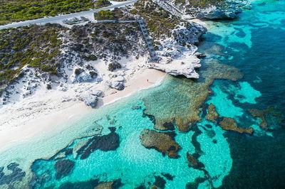 Rottnest Island Round-Trip Ferry from Perth or Fremantle