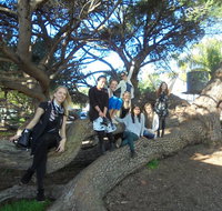 1/2 day Swan Valley Wine Cheese  Chocolate Tour Inc Afternoon Cruise to Perth - Attractions Perth