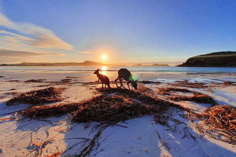 10-Day Perth To Adelaide Adventure Tour - Attractions Perth 1
