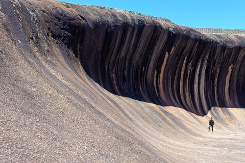 10-Day Perth To Adelaide Adventure Tour - Attractions Perth 3