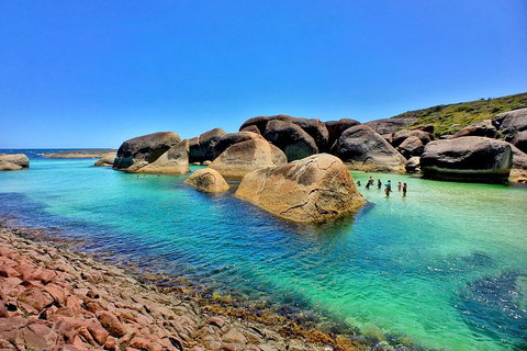 10-Day Perth To Adelaide Adventure Tour - Attractions Perth 5