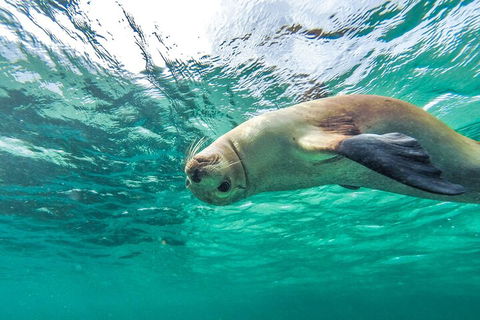 10-Day Adelaide To Perth Adventure Tour - Attractions Perth 1