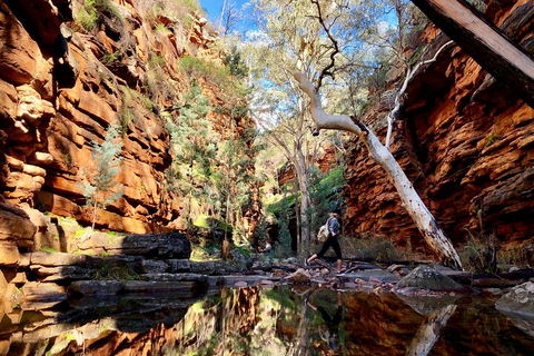 10-Day Adelaide To Perth Adventure Tour - Attractions Perth 5