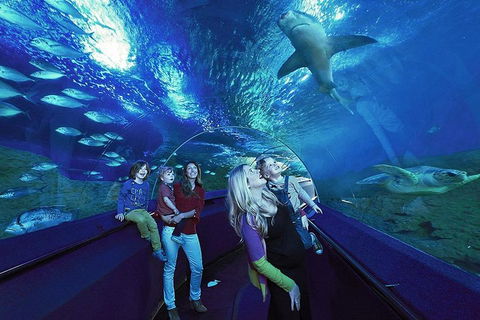 General Admission Entry At AQWA - Attractions Perth 1