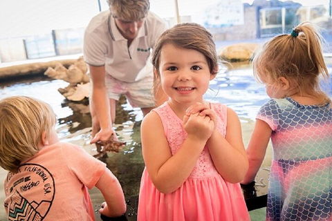 Lunch And General Admission Entry At AQWA - Attractions Perth 4