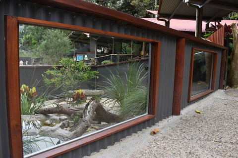 Kuranda Koala Gardens And Birdworld Admission Tickets - Attractions Perth 4
