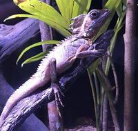 Cairns Aquarium Admission Ticket - Attractions Perth