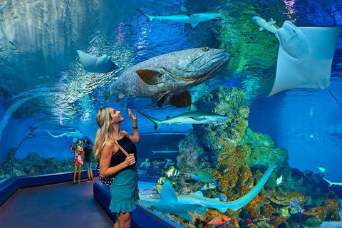 Cairns Aquarium Admission Ticket - Attractions Perth 3