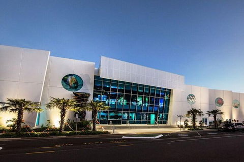 Cairns Aquarium Admission Ticket - Attractions Perth 4