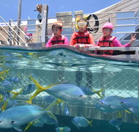 Outer Reef Pontoon Experience from Cairns - Attractions Perth