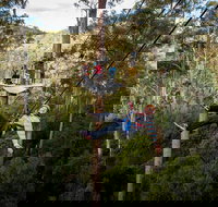 Hollybank Wilderness Adventure - Zipline Tours - Attractions Perth