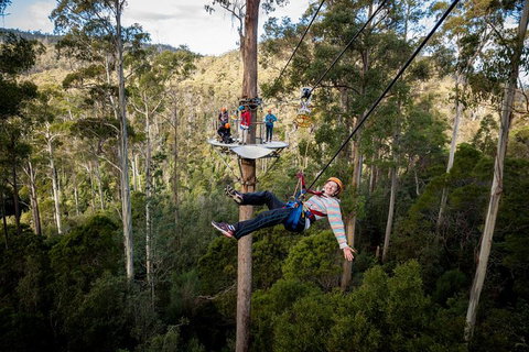 Hollybank Wilderness Adventure - Zipline Tours - Attractions Perth 0
