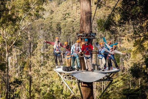 Hollybank Wilderness Adventure - Zipline Tours - Attractions Perth 1