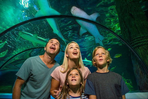SEA LIFE Sunshine Coast Aquarium Entrance Ticket - Attractions Perth 3