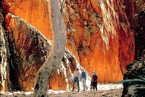 West MacDonnell Ranges Day Trip From Alice Springs - Attractions Perth 3