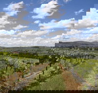 Hunter Valley Wine Tour from Sydney incl Lunch Cheese Chocolate and Distillery - Attractions Perth