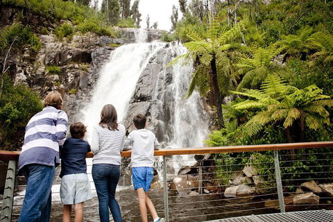 Lake Mountain Snow Trip Including Yarra Valley Chocolaterie From Melbourne - Attractions Perth 0