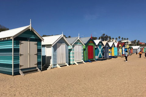 Phillip Island Penguin Parade, Brighton Bathing Boxes And Wildlife Park Tour - Attractions Perth 3
