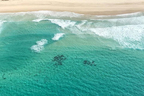 Coastal Helicopter Shared Flight - 20 Minutes - Attractions Perth 4