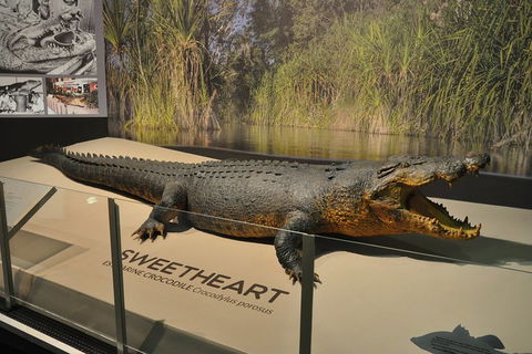 Explore Darwin City Sights Including Key Attractions - Attractions Perth 2