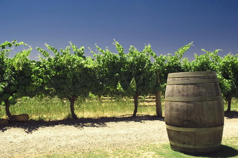 Swan Valley Private Tour - Attractions Perth 4