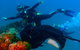 Scuba Dive The S.S. Yongala Wreck On The Great Barrier Reef. - thumb 0