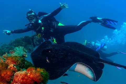 Scuba Dive The S.S. Yongala Wreck On The Great Barrier Reef. - Attractions Perth 0
