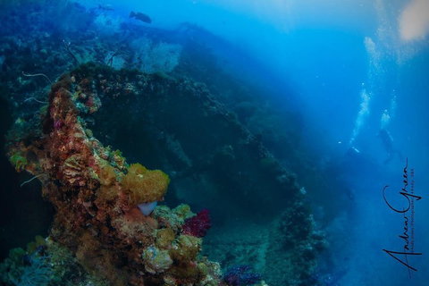 Scuba Dive The S.S. Yongala Wreck On The Great Barrier Reef. - Attractions Perth 3
