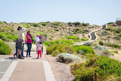 Margaret River Coastal and Wildlife Eco Trip from Busselton or Dunsborough